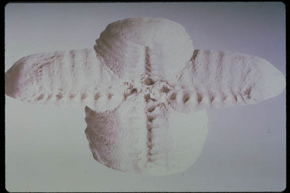 IMG0024