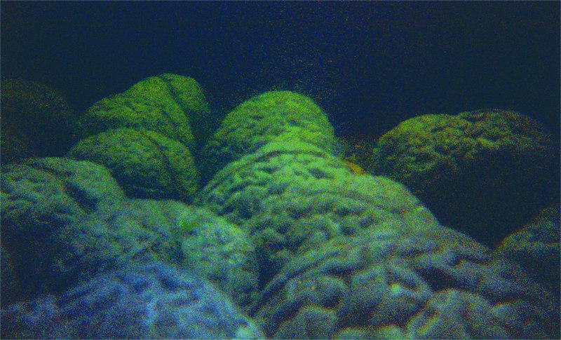 Under a Murky Influence (Version 2)