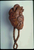 Circulatory Cross