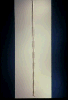 Apparition