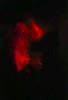 Lava Flare IV